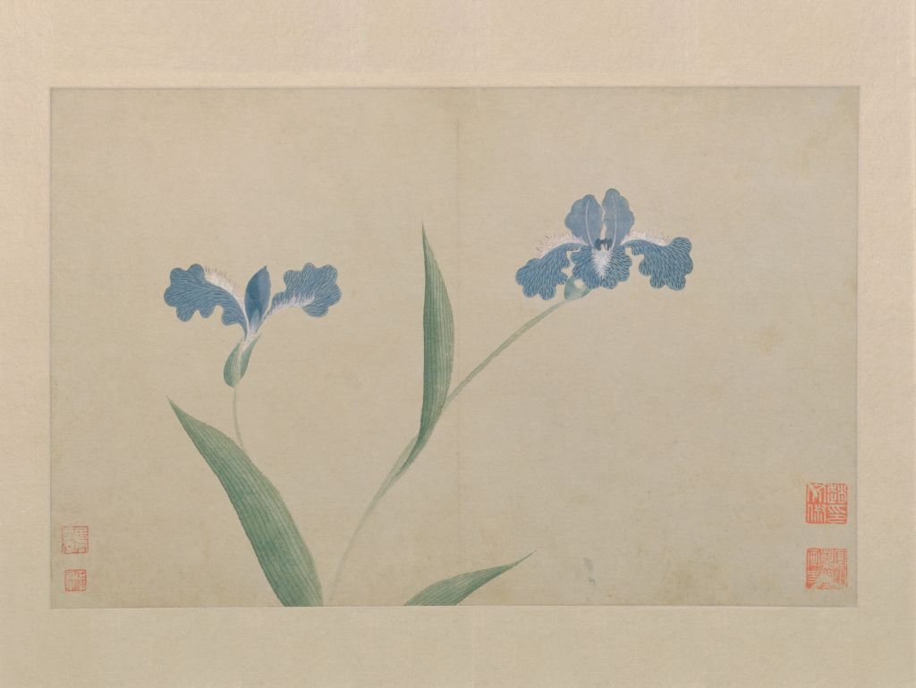 图片[4]-Wenchu Flower Atlas-China Archive